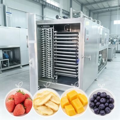 Pengering Beku Industri Sistem Keselamatan Ganda Menampilkan Mode Operasi Otomatis dan Tingkat Vakum di bawah 13Pa Ideal untuk Industri
