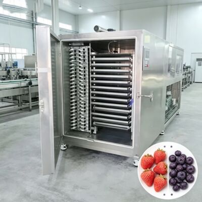 Ukuran Ruang 12700 2600 3300mm Pengering Beku Industri Termasuk Sistem Kontrol PLC dan Waktu Pengeringan 20 hingga 24 jam Dirancang untuk Operasi