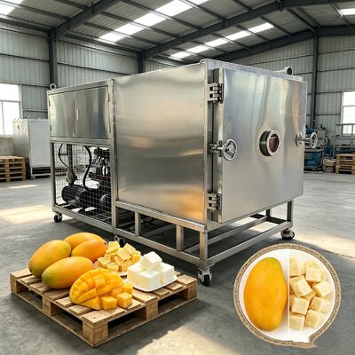 304 bahan baki stainless steel vegetable freeze dryer menawarkan mode operasi otomatis memastikan kinerja freeze drying